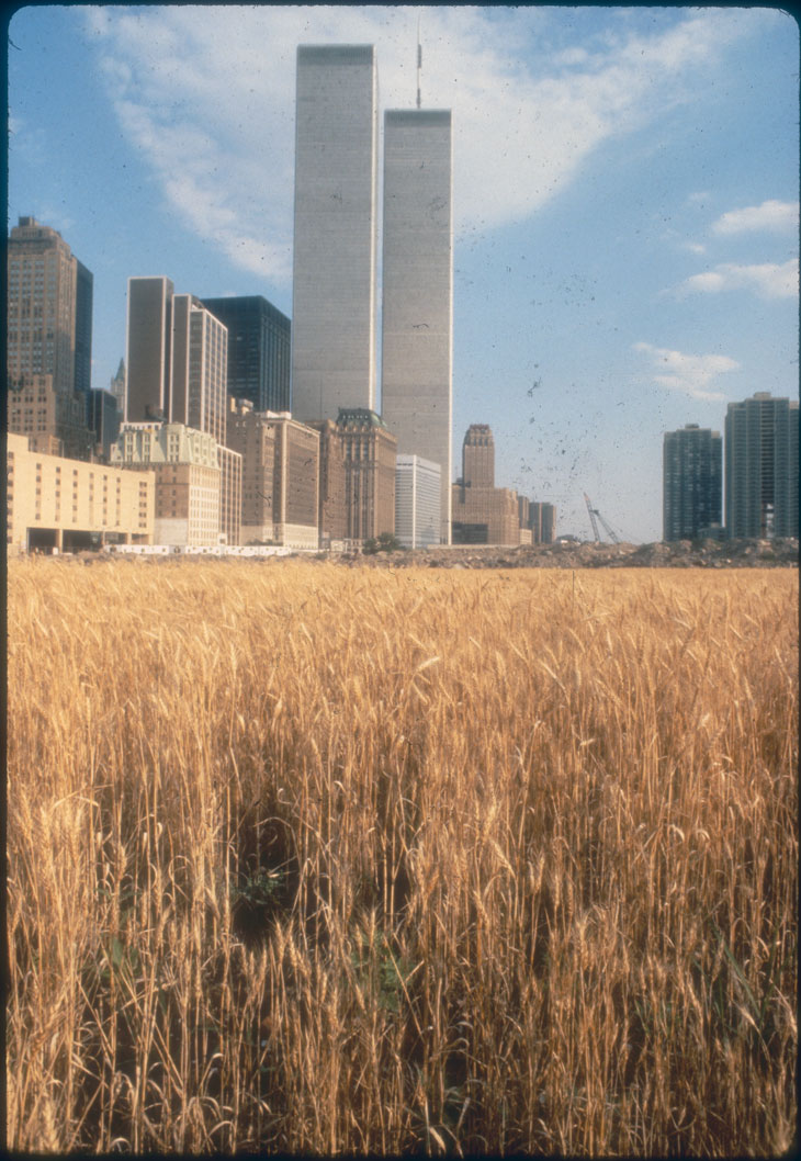 Wheatfields for Manhattan (1982), Agnes Denes. Battery Park Landfill.