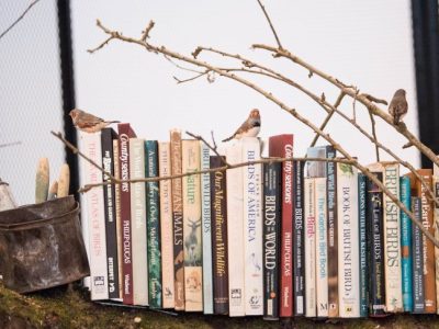 Installation view of Mark Dion's 'The Library for the Birds of London' (2018) at the Whitechapel Gallery, London, 2018, Photo: © Jeff Spicer/PA Wire