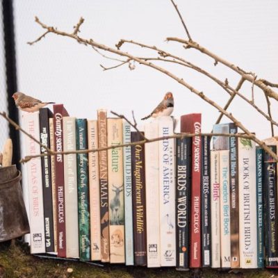 Installation view of Mark Dion's 'The Library for the Birds of London' (2018) at the Whitechapel Gallery, London, 2018, Photo: © Jeff Spicer/PA Wire