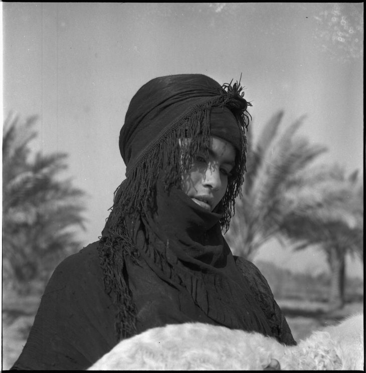 Shepherd, Latif Al-Ani