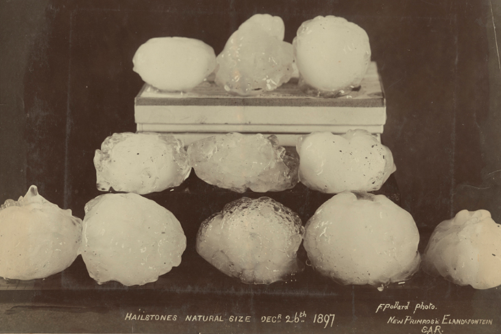 Hailstones, natural size (1897), F. Pollard. Courtesy Archive of Modern Conflict, London