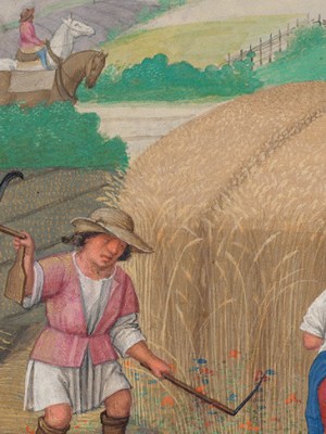 August: Reaping Wheat, 'Da Costa Hours' (detail; c, 1515), illuminated by Simon Bening. The Morgan Library & Museum, New York.