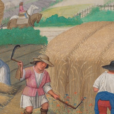 August: Reaping Wheat, 'Da Costa Hours' (detail; c, 1515), illuminated by Simon Bening. The Morgan Library & Museum, New York.