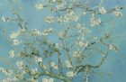 Almond Blossom, (1890), Vincent Van Gogh, Van Gogh Museum, Amsterdam