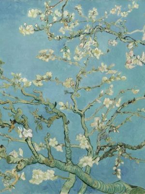 Almond Blossom, (1890), Vincent Van Gogh, Van Gogh Museum, Amsterdam