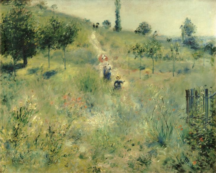 Path Leading Through Long Grass