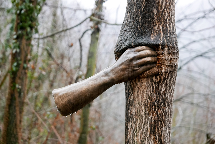 Continuera` a crescere tranne che in quel punto, Giuseppe Penone