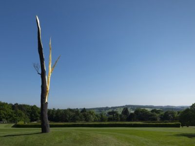 Lightning-struck Tree, (2012), Giuseppe Penone, Private collection, photo: © Jonty Wilde; courtesy the artist and Yorkshire Sculpture Park