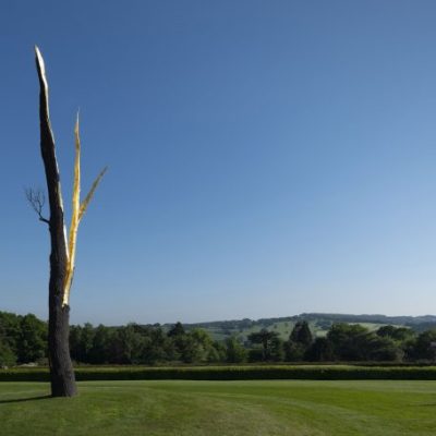 Lightning-struck Tree, (2012), Giuseppe Penone, Private collection, photo: © Jonty Wilde; courtesy the artist and Yorkshire Sculpture Park