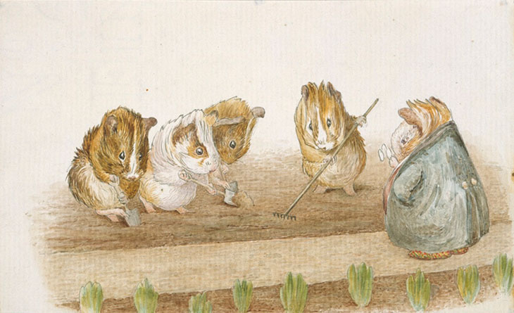 Guinea Pigs Gardening, Beatrix Potter