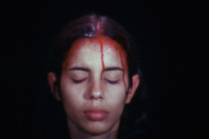 The disappearing acts of Ana Mendieta