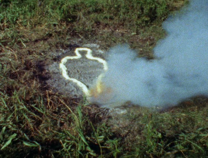 Untitled: Silueta Series (1978), Ana Mendieta.