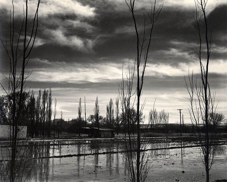 Untitled (Texas Landscape), Brett Weston