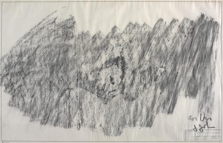 Skin, Jasper Johns