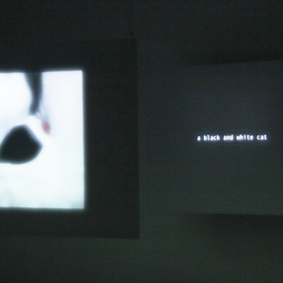 Closed Loop (2017), Jake Elwes