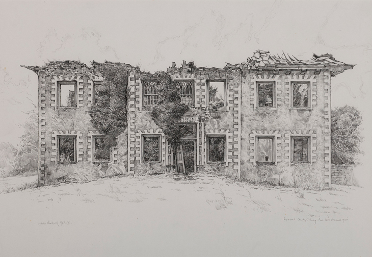 The drawings that capture Ireland’s crumbling castles