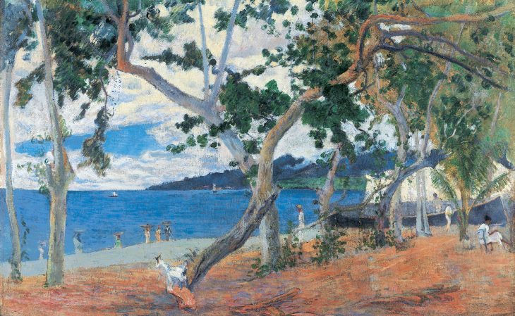 Coastline landscape (The Bay of Saint-Pierre, Martinique)