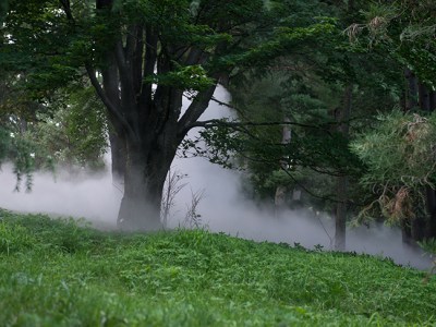 Fog x Hill (2018), Fujiko Nakaya. Installation view at the Arnold Arboretum, Boston.