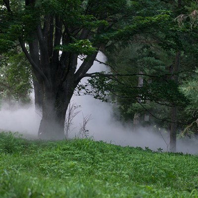 Fog x Hill (2018), Fujiko Nakaya. Installation view at the Arnold Arboretum, Boston.
