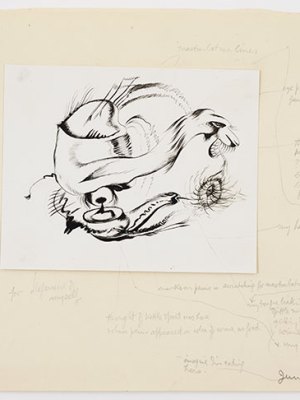 Small photograph with analysis of drawing by (1935), Reuben Mednikoff.