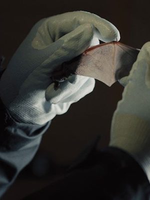 Listening in the Dark (film still; 2018), Maeve Brennan.
