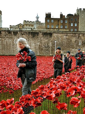 Volunteers dismantling the installation of Blood Swept Lands and Seas of Red at the Tower of London in 2014.