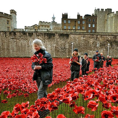 Volunteers dismantling the installation of Blood Swept Lands and Seas of Red at the Tower of London in 2014.