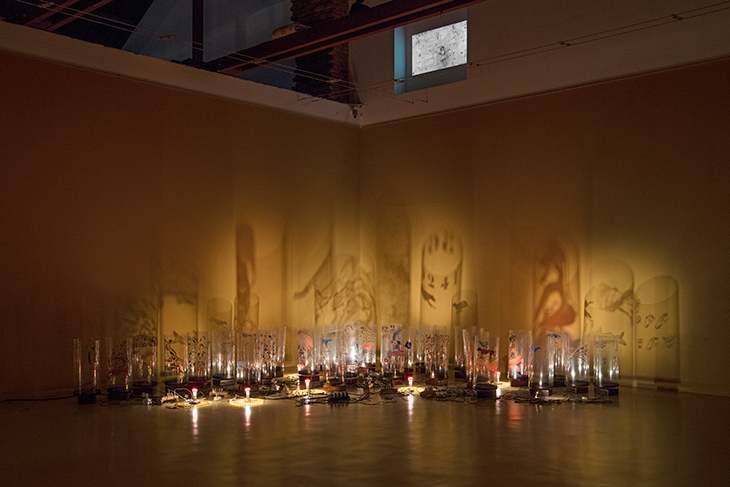 Nalini Malani turns to a Greek myth to retell Indian tragedies
