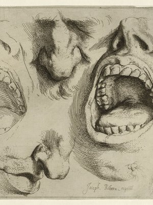 Studies of the Nose and Mouth (c. 1622), Jusepe de Ribera.