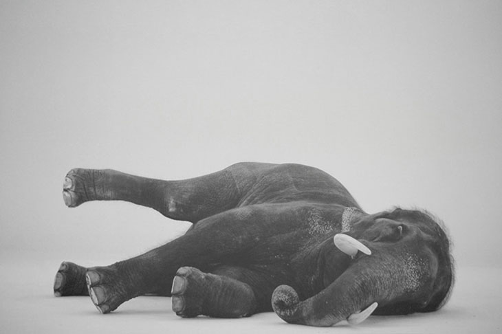 Poetry and pessimism at the 12th Shanghai Biennale