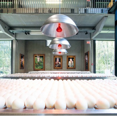 Inside Koen Vanmechelen’s LABIOMISTA in Genk, Belgium