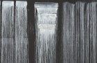 The Barnes Series VI, Steir
