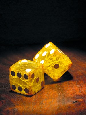 Detail of ‘Rotten Luck – An Exhibit of Failing Dice’ from the Collections of Ricky Jay, at the Museum of Jurassic Technology, Los Angeles