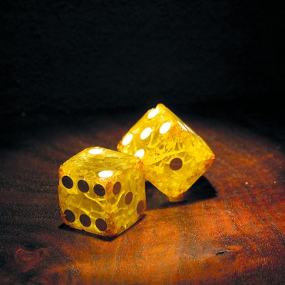 Detail of ‘Rotten Luck – An Exhibit of Failing Dice’ from the Collections of Ricky Jay, at the Museum of Jurassic Technology, Los Angeles