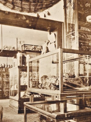 The artist Gabriel von Max photographed in his atelier in 1892. The city of Mannheim acquired his collection of mummies in 1917.