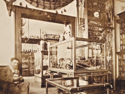 The artist Gabriel von Max photographed in his atelier in 1892. The city of Mannheim acquired his collection of mummies in 1917.