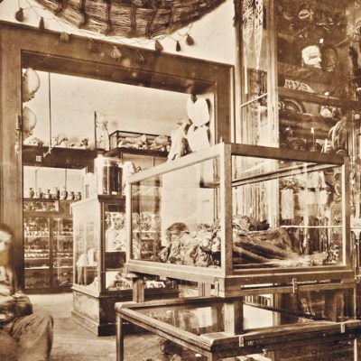 The artist Gabriel von Max photographed in his atelier in 1892. The city of Mannheim acquired his collection of mummies in 1917.