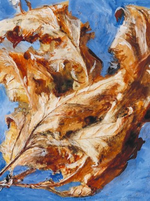 Study of Spray of Dead Oak Leaves (detail; 1879), John Ruskin.