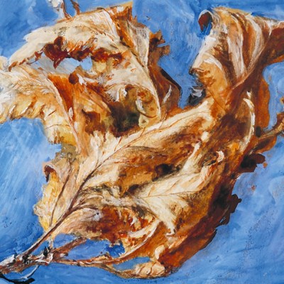 Study of Spray of Dead Oak Leaves (detail; 1879), John Ruskin.