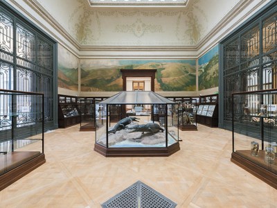 The Crocodile Room in the Africa Museum, Tervuren.