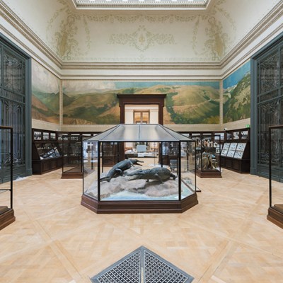 The Crocodile Room in the Africa Museum, Tervuren.