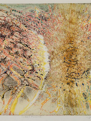 Seed Pushing (1961), Krishna Reddy.