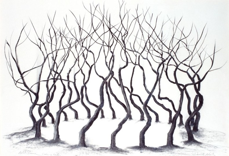 Ash Dome (2000), David Nash.