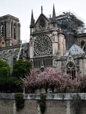 Notre-Dame Cathedral in Paris, early on April 16, 2019.