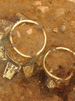 Drinking vessels with decorated gilt necks at the Prittlewell site.