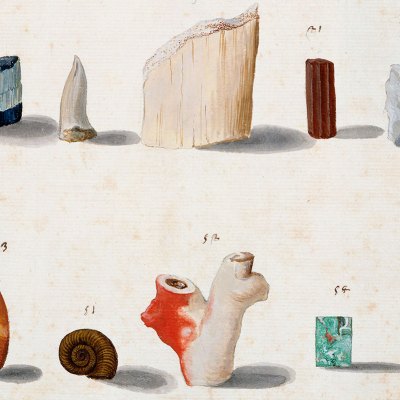 Lapidary and ‘figured’ stones, corals, fossils, semi-precious stones and minerals (c. 1630–40), Vincenzo Leonardi