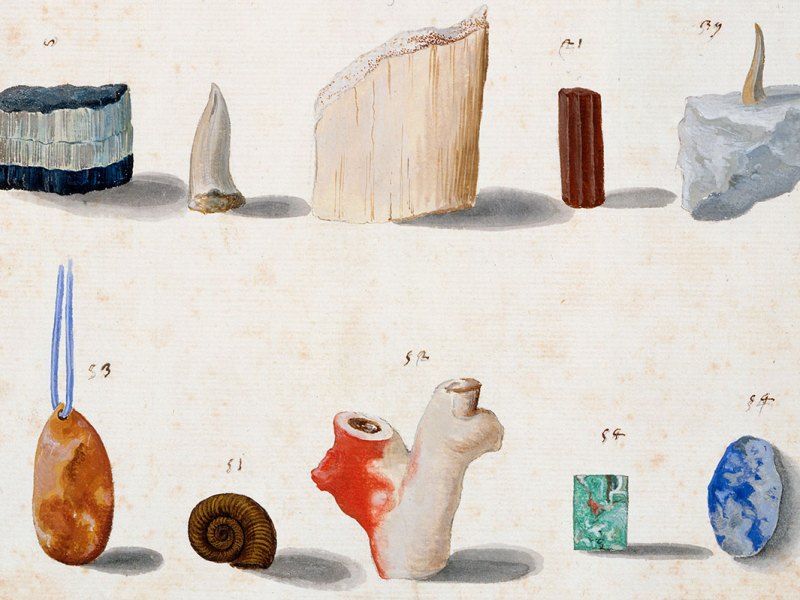 Lapidary and ‘figured’ stones, corals, fossils, semi-precious stones and minerals (c. 1630–40), Vincenzo Leonardi