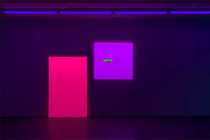 Seeing is not believing in the art of Jacqueline Humphries