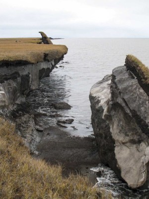 A collapsed block of ice-rich permafrost at Drew Point, north Alaska.