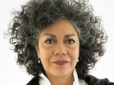 Doris Salcedo.